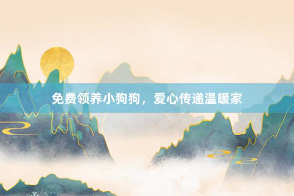 免费领养小狗狗,爱心传递温暖家